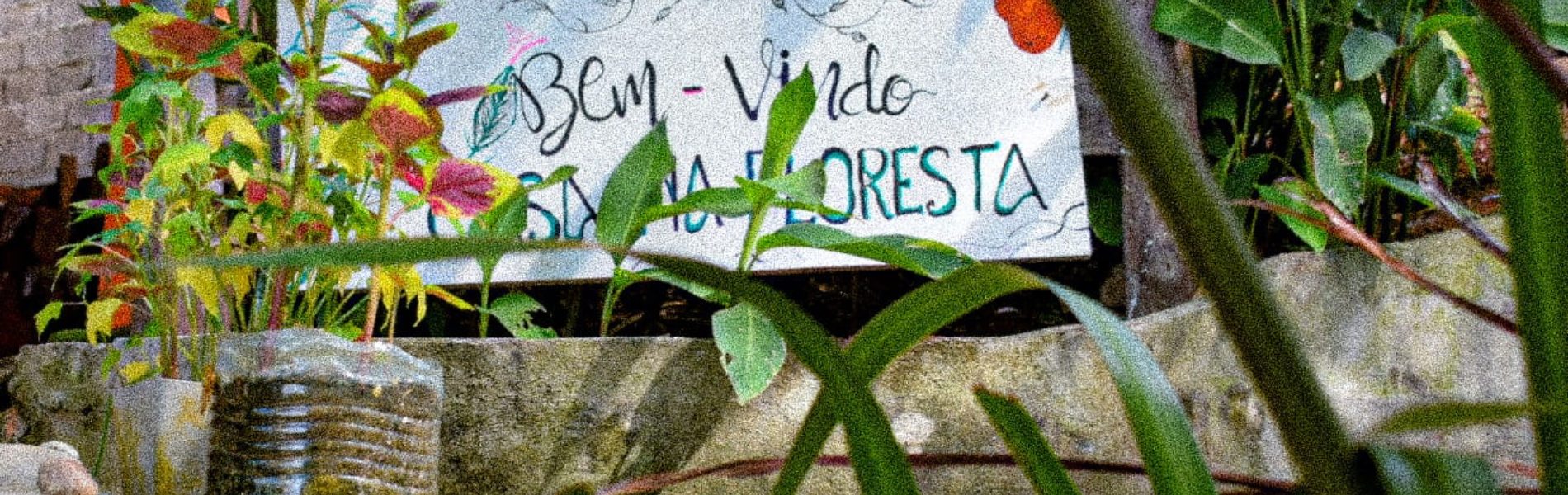 Casa na Floresta Itacaré